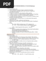 Biogeochemical Cycles-Summary