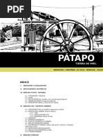 Patapo