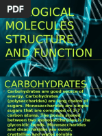 Biological Molecules Structure and Function