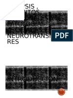 Sinapsis y Circuitos Neuronales