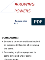 Borrowing Powers