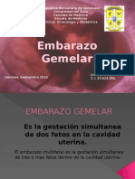 Embarazo Gemelar