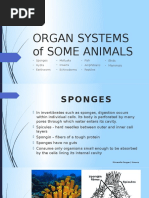 Organ Systems of Some Animals