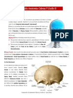 Compendio Anatomía