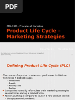 Product Life Cycle PPT Pilot