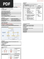 Myeloproliferative Disorders