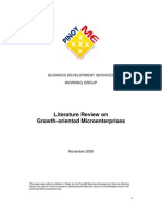 Literature Review On Growth-Oriented Microentrepreneurs