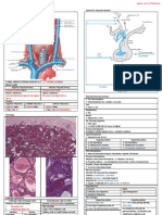 Thyroid Physiology