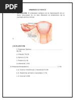 Embarazo Eutopico...