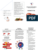 Hepatitis Triptico