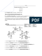 Prueba de Practica Leccion 3 (With Answers)