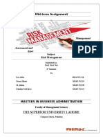 Risk Manangement Assignment