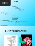 Hypophys e 4