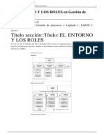 El Entorno y Los Roles en Gestión de Proyectos