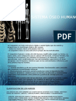 Control 1 Anotomofisiologia Humana y Primeros Auxilios