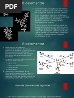 Bioelementos y Biomoléculas Asignacion 4