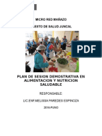 Plan de Sesion Demostrativa en Alimentacion y Nutricion Saludable