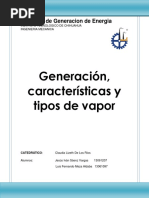 SGE Generacion y Tipos de Vapor Ivan Saenz Fernando Meza