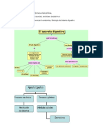 Guia de Sistema Digestivo Grado Sexto