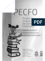 Instrucciones y Registro PECFO PDF