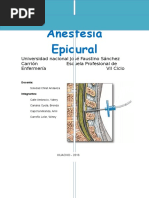 Anestesia Epidural