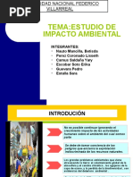 Estudio de Impacto Ambiental