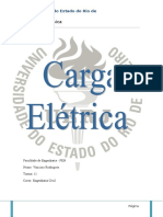 (128625058) Relatório Carga Elétrica