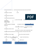 Pathway Pertusis