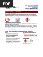 SCHC Ghs fs1 Pictograms - Es-Us-Final PDF