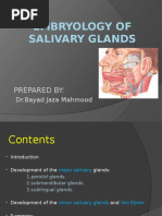 Embryology of Salivary Glands