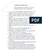 Problemas de Perímetros y Áreas