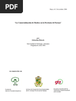 Comercializaci N Pastaza PDF