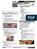 Patho5-10 - Male Genitalia (Dr. Villamayor)