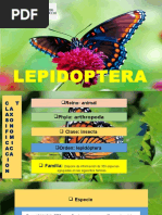 LEPIDOPTEROS Presentacion