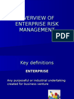 Overview of Enterprise Risk Management