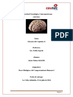 Bases Biologicas Glosario