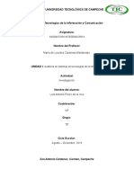 Informe de Auditoria de Sistemas