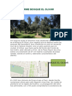 INFORME Bosque El Olivar