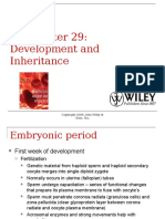 1st To 3rd Weeks of Development