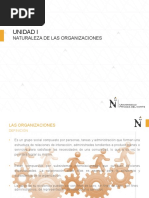 Naturaleza de Las Organizaciones