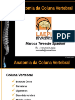 Anatomia Da Coluna Vertebral