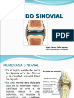 Liquido Sinovial