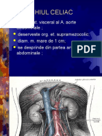 Trunchiul Celiac