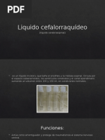 Liquido Cefalorraquídeo