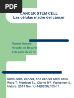 Cancer Stem Cell