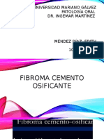 Segunda Exposicion Fibroma