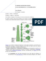 IV Unidad Nutricion Vegetal Transporte de Nutrimentos y Fotoasimilados