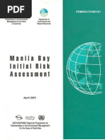 Manila Bay: Initial Risk Assessment