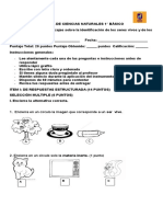 Prueba de Seres Vivos e Inertes