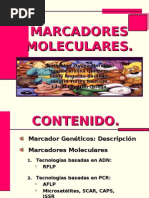 Marcador Molecular